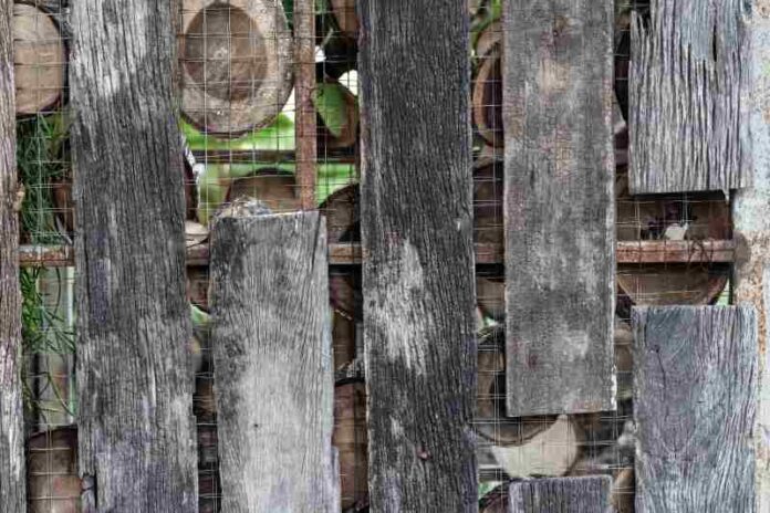 Drewniane materiały z rozbiórek do znalezienia w domu: jak zdobyć stare drewno i jak je wykorzystać?